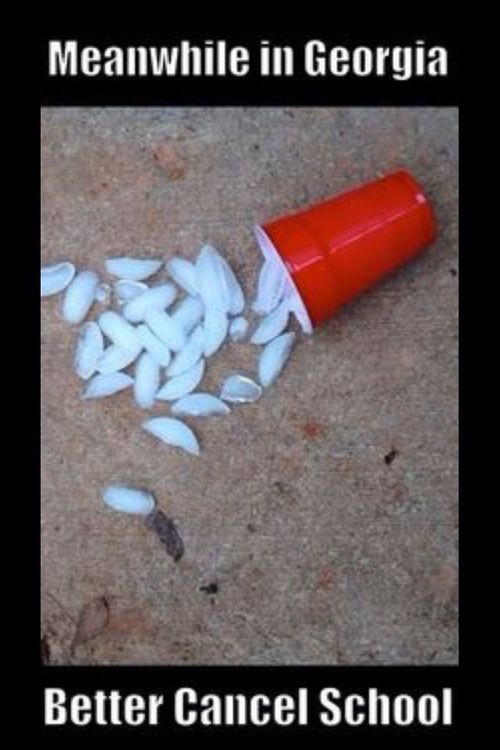 500x1000px-LL-f6776064_cancelschool.jpg