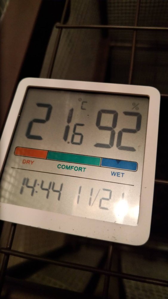 5383.jpg