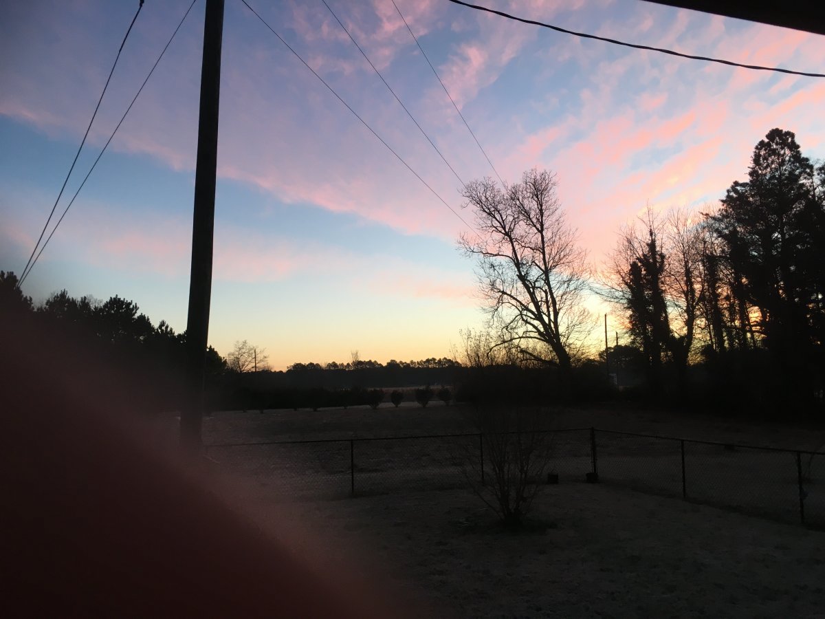 5985DF03-D0CC-4B8E-ACD1-34AAA30D14A3.jpeg