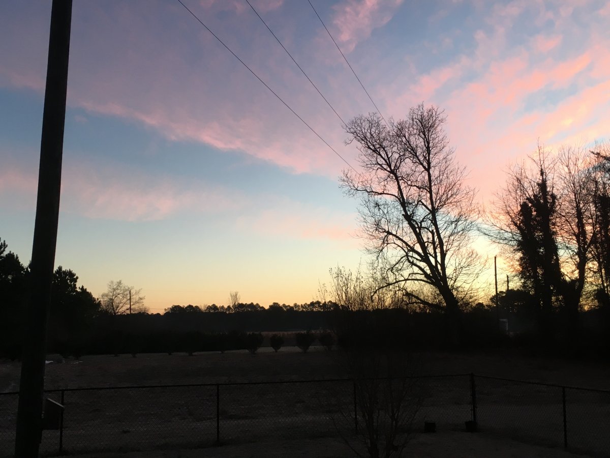 5FC71CCB-517F-4B98-9415-2D2D5FFFC1F5.jpeg