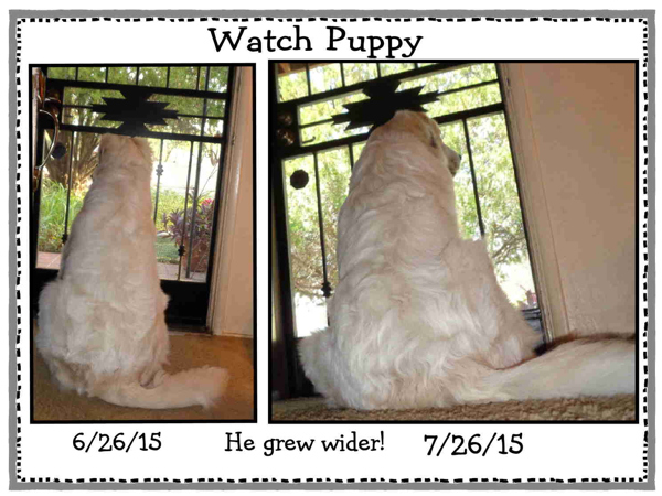 6 26 15 to 7 26 15 email.JPG