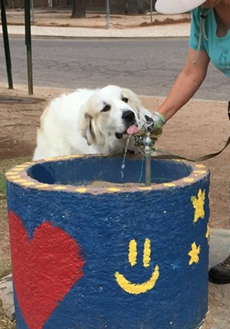 6 8 15 Water Fountain 01 email.jpg