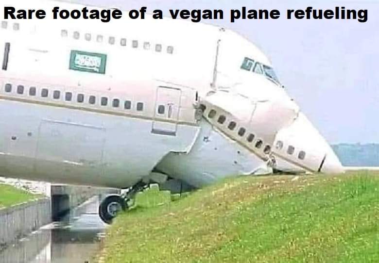624CC701-6335-433F-A4BE-E59C23138886.jpeg