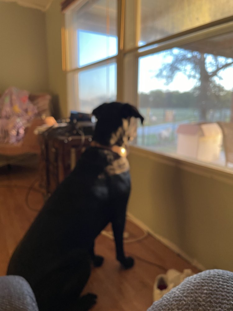 69345922-4EBD-4963-B1C8-E6B5775BCA66.jpeg