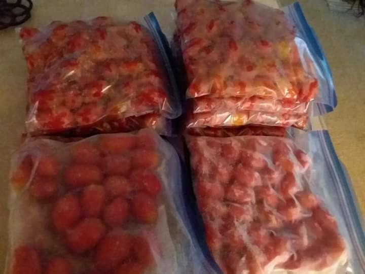 7.21.19 34lbs of tomatoes in the freezer.jpg