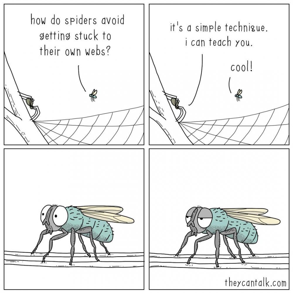 7b03d8d.jpg