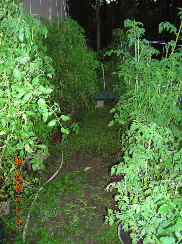 8-25-12 125 copy.jpg
