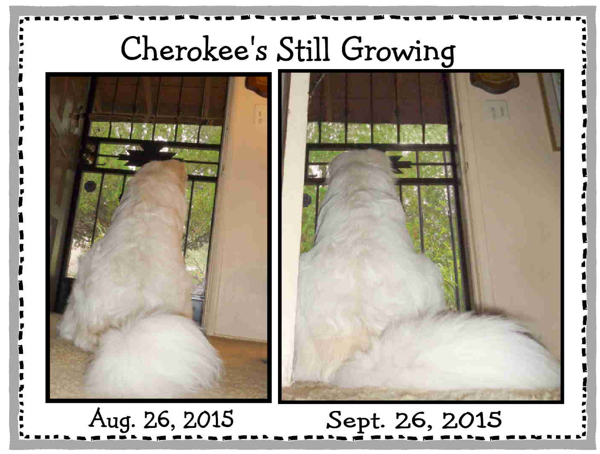8 26 to 9 26 2015 Front door email.JPG