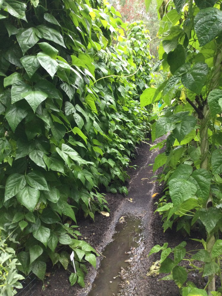 82F45079-F201-4F21-8F98-B1B179B1B31E.jpeg