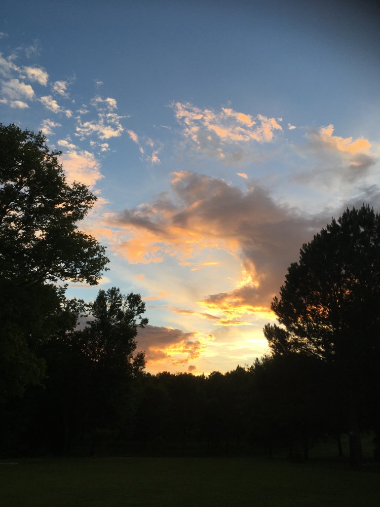 838BAB09-365E-4A1D-9D01-35910F02C453.jpeg