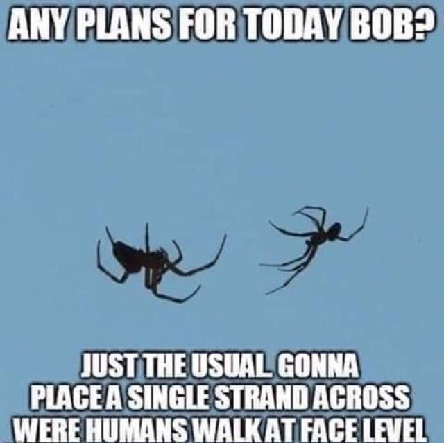 84014294_2837604119667310_5777224307293814784_n.jpg