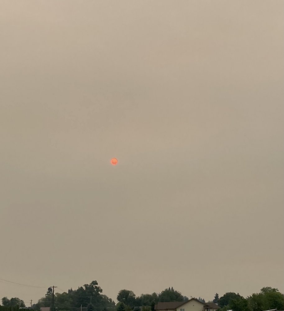 86EFF2D8-7715-4864-A485-5A7D363B8B91.jpeg
