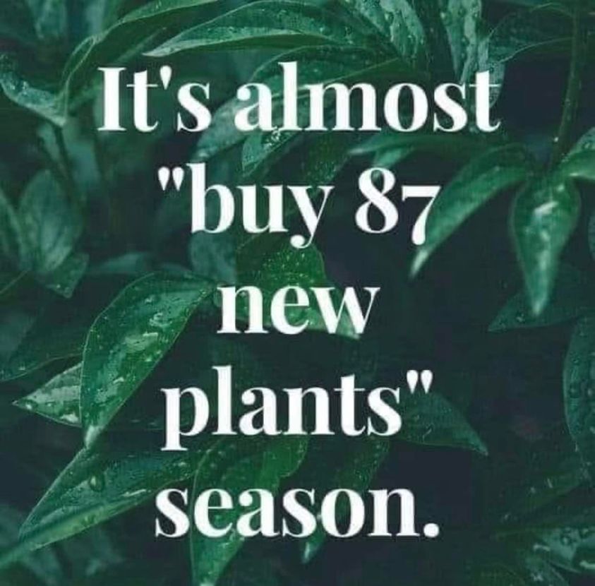 87 new plant season.jpg