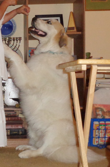 9 24 15 Me and Cherokee Sitting up 01 email.JPG