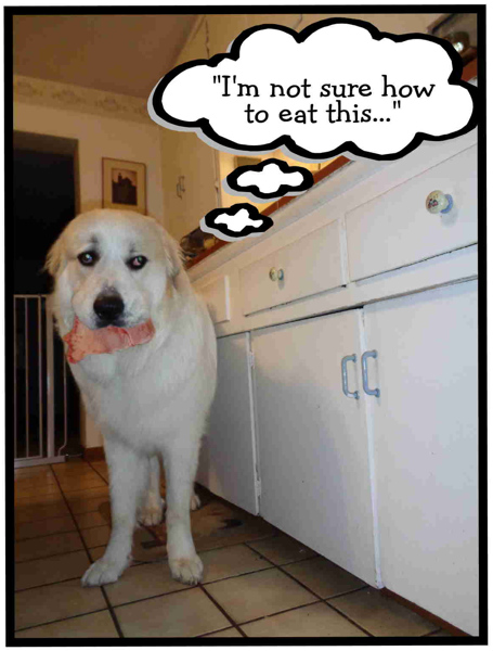9 25 15 Bone 03a email.JPG