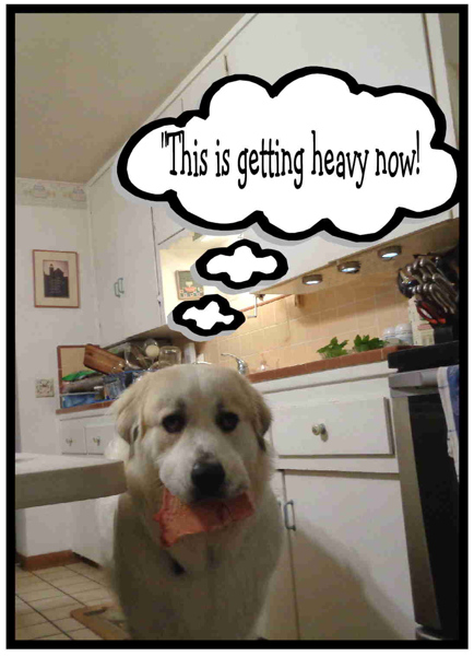 9 25 15 Bone 04a email.JPG