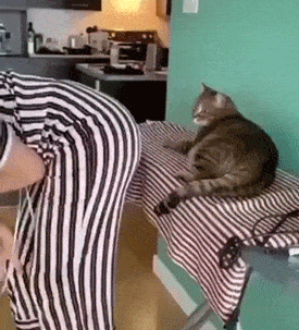 949812-a16d762d048e4995de085f211cd83fb5.gif