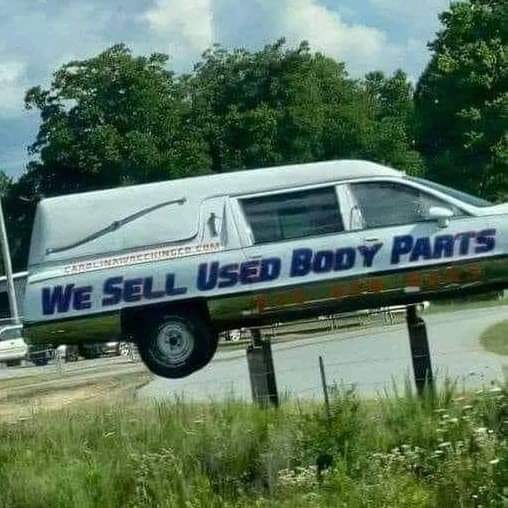 97677aa.jpg