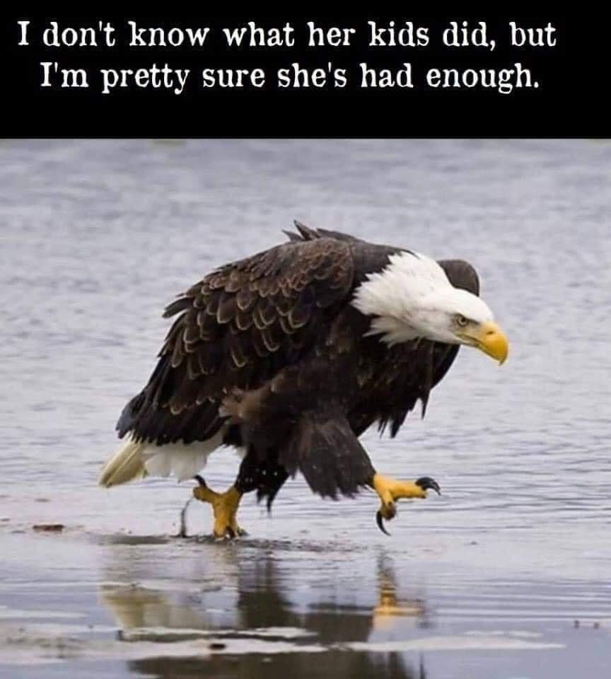 9B4FF5B9-C89F-4D90-A988-9841A45782C2.jpeg