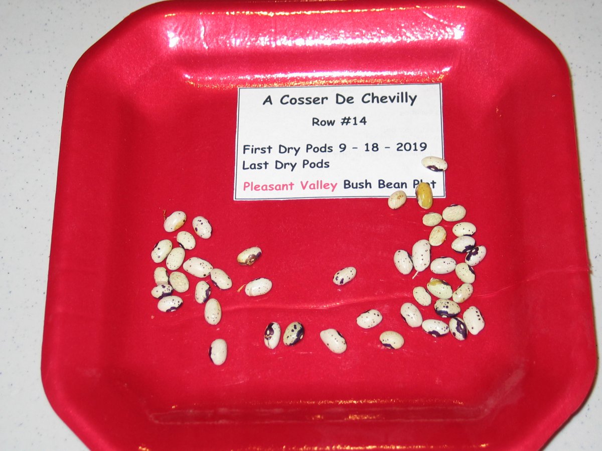 A Cosser De Chevilly Tray - .70.JPG
