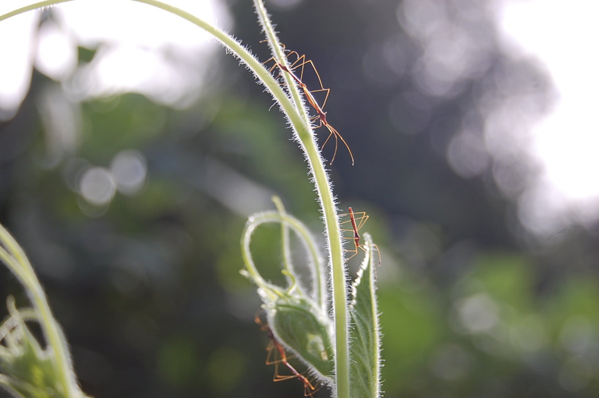 A9D26E43-B1B0-451B-8BD9-170E3A6869AA.jpeg