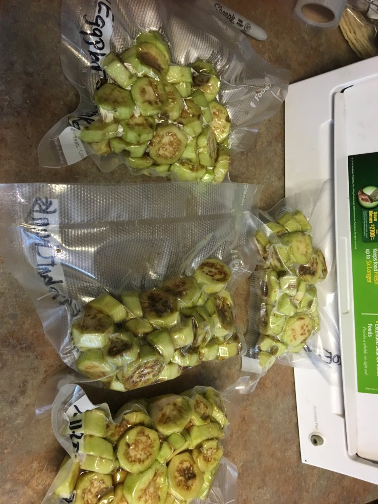 AB9FB052-8459-4F7E-AD0F-3679CCEE9BB3.jpeg