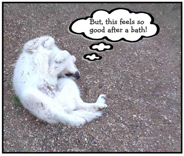 After Bath 01 email.JPG