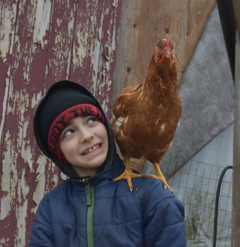 aidan and chicken.jpg