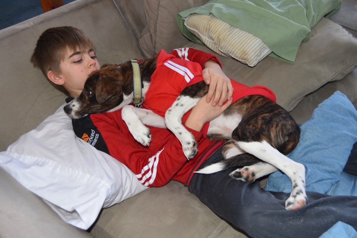 Aidan and pup.jpg