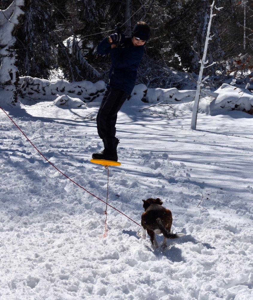 Aidan, zip, pup.jpg