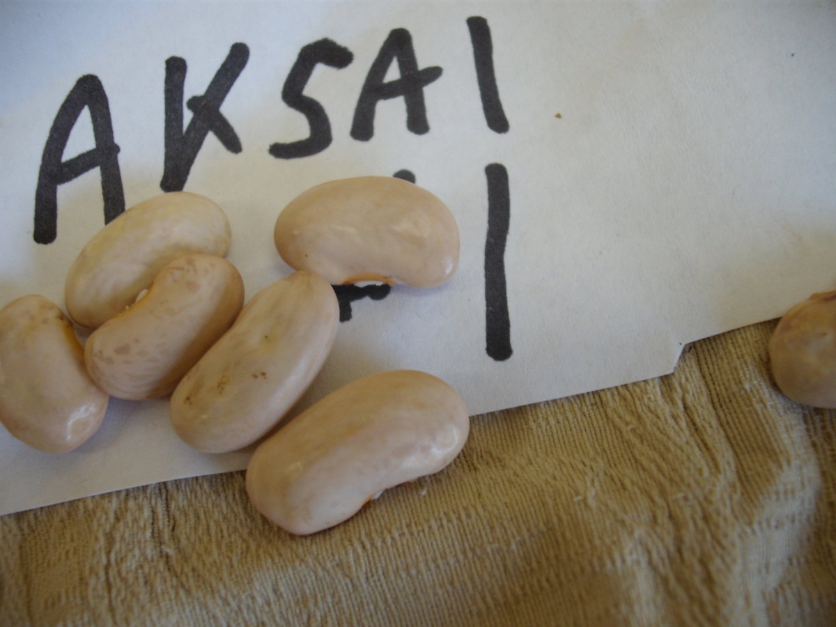 Aksai.JPG