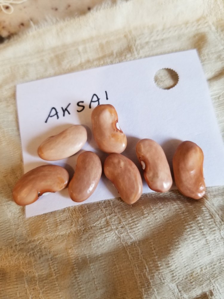 Aksai.jpg
