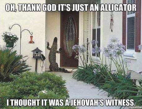 aligator at teh door.jpg