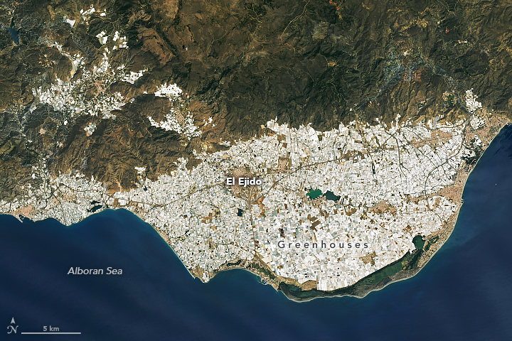 almeria_oli2_2022144.jpg