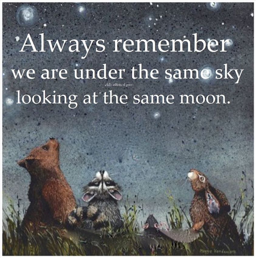always remember same sky.jpg