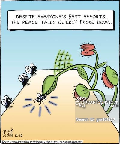 animals-peace_talk-peace_talk-peace_deal-venus_fly_trap-flies-gra101223_low.jpg