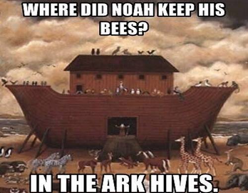 ark hives.jpg