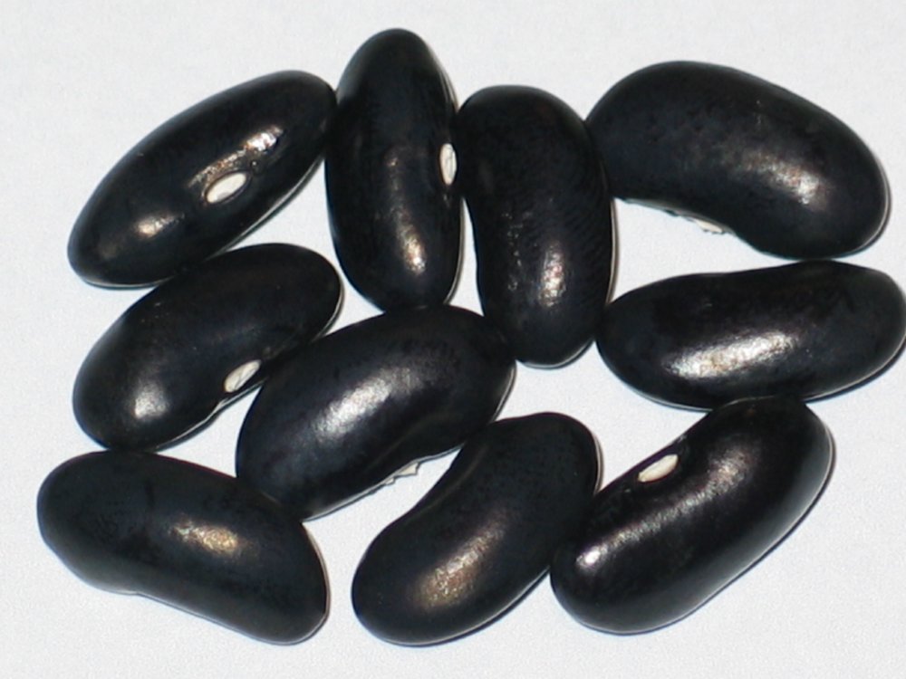 Armenian Giant Black.jpg