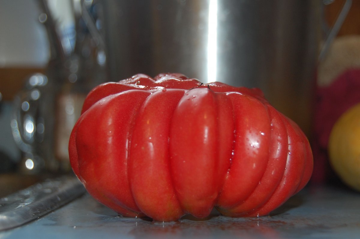 art tomato.jpg