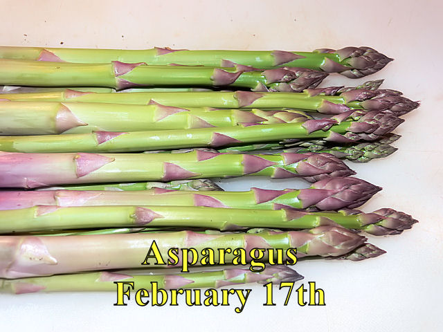 Asparagus_021718.jpg