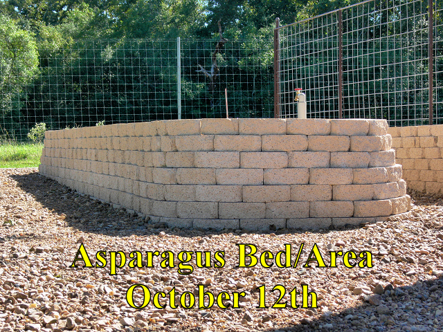 Asparagus_Bed1_101214.jpg