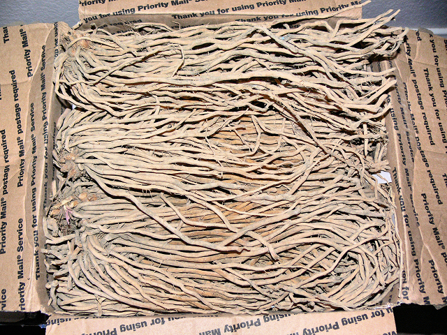 Asparagus_Delivered.jpg