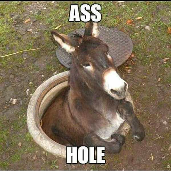 ass hole.jpg