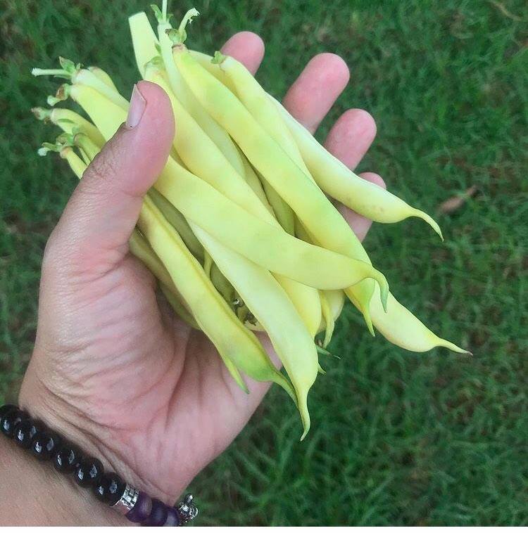 australianbutter4.jpeg