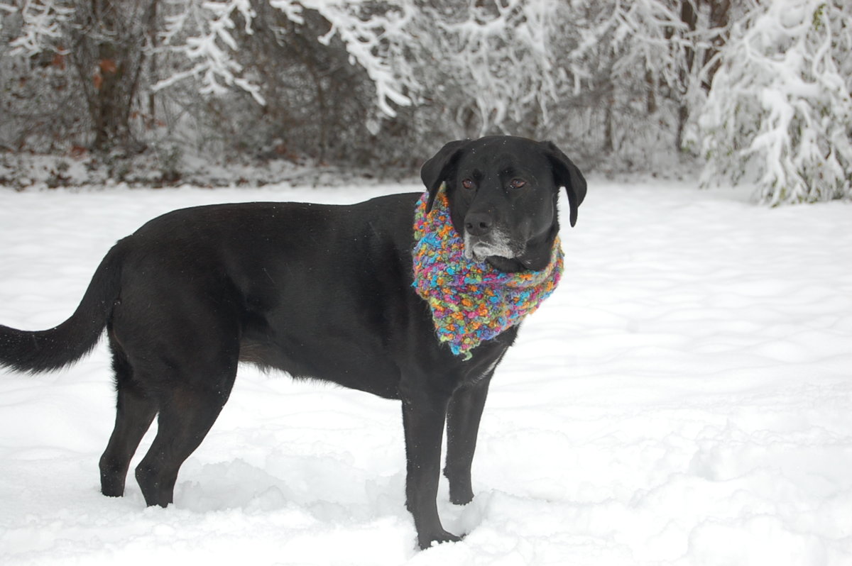 ava winter.JPG