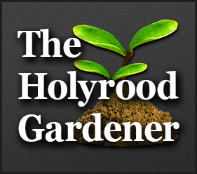Avatar Logo.jpg