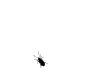 Avatars_Funny_Crawling_Bug.gif
