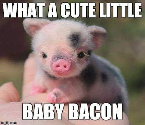 baby bacon.jpg