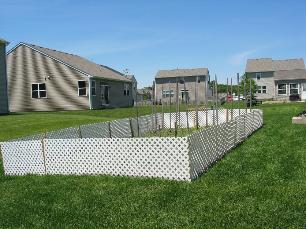 Backyard Bunny Fence.JPG