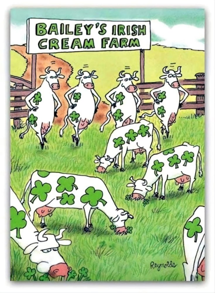 baileys irish crea mfarn=m.jpg